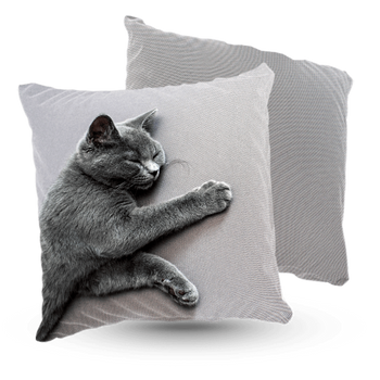 Poduszka welur śpiący kot 40x40 cm