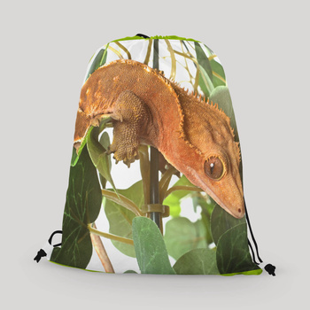Worko-plecak gekon orzęsiony w liściach