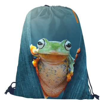 Worko-plecak żaba