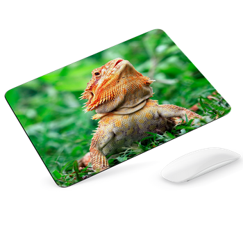 Podkładka pod mysz Agama