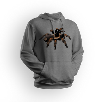 Bluza męska/unisex z kapturem pająk Brachypelma hamorii