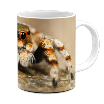 Kubek ceramiczny pająk skakun