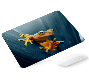 Podkładka pod mysz - Żaba na liściu