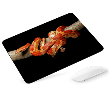 Podkładka pod mysz - wąż zbożowy