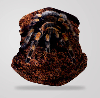 Komin wielofunkcyjny bezszwowy pająk