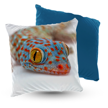 Poduszka welur gekon toke 40x40 cm