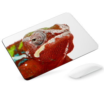 Podkładka pod mysz Kameleon