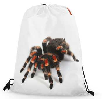 Worko-plecak pająki