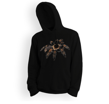 Bluza dziecięca z kapturem pająk Brachypelma hamorii