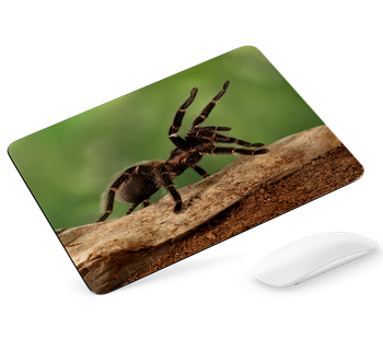 Podkładka pod mysz Pająk