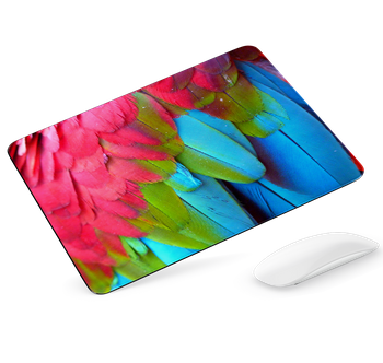 Podkładka pod mysz Pióra papugi