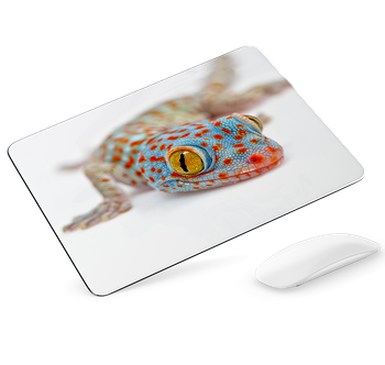 Podkładka pod mysz Gekon