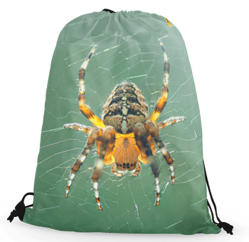 Worko-plecak pająk