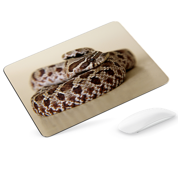 Podkładka pod mysz Wąż heterodon