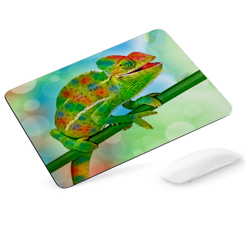 Podkładka pod mysz Kameleon