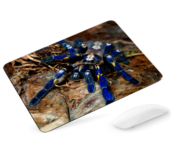 Podkładka pod mysz Pająk ptasznik