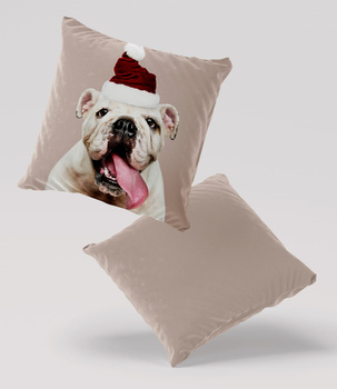 Poduszka welur pies buldog w czapce św. Mikołaja 40x40 cm