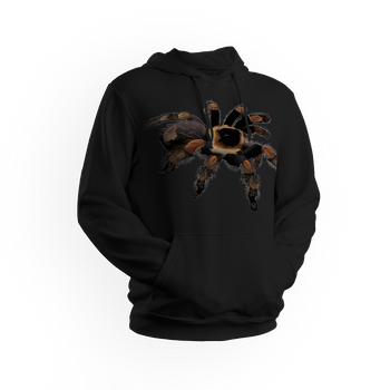Bluza męska/unisex z kapturem pająk Brachypelma hamorii