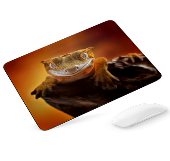 Podkładka pod mysz gekon orzęsiony